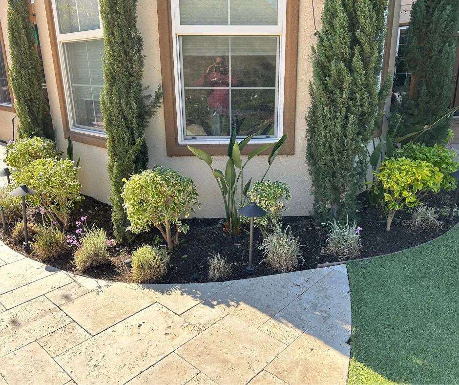 Landscaping