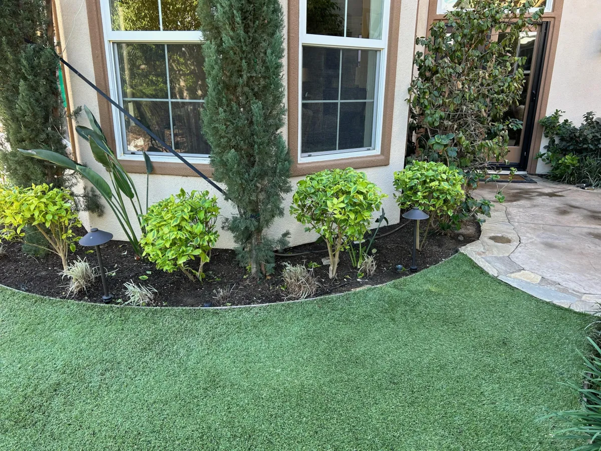 Landscaped front yard with manicured shrubs