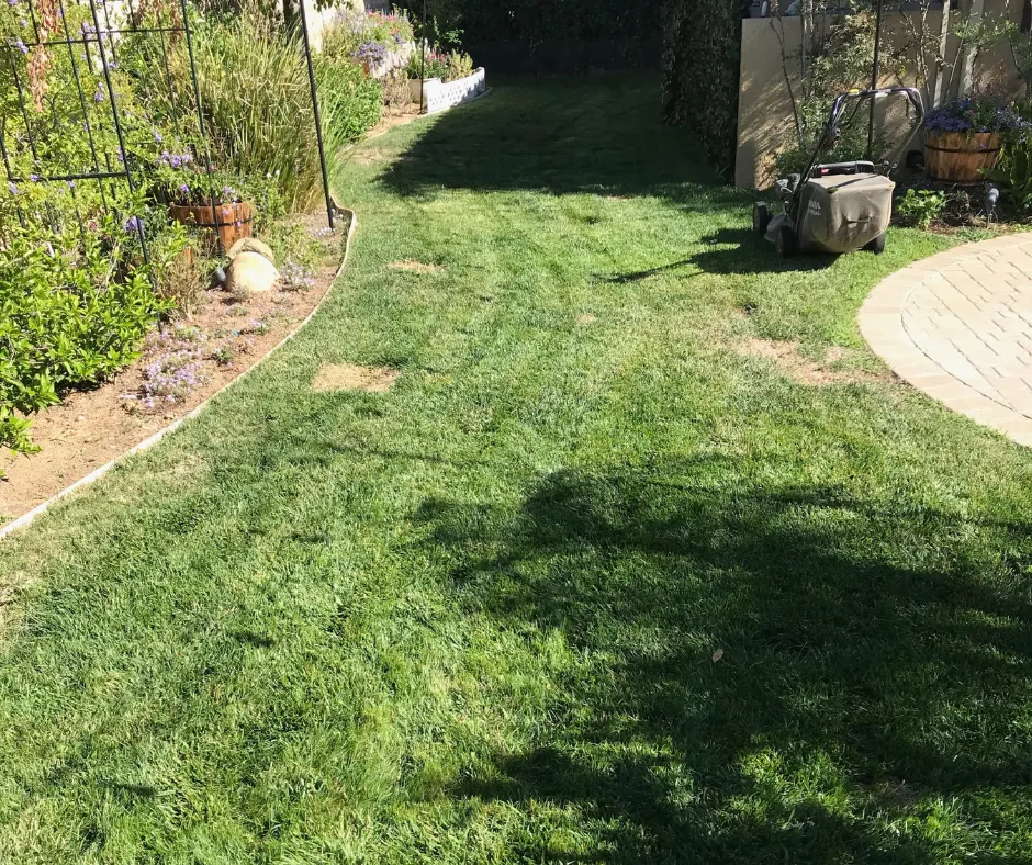 Lawn Care